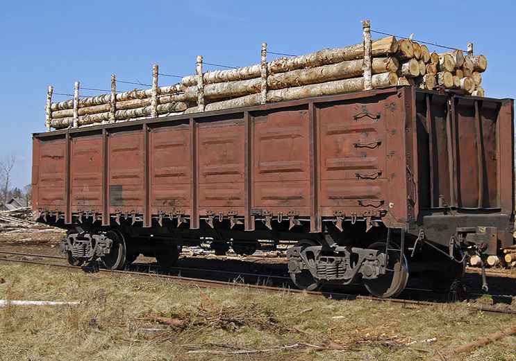 Перевозка ЛЕСА вагонами из Тишковой в Медведево